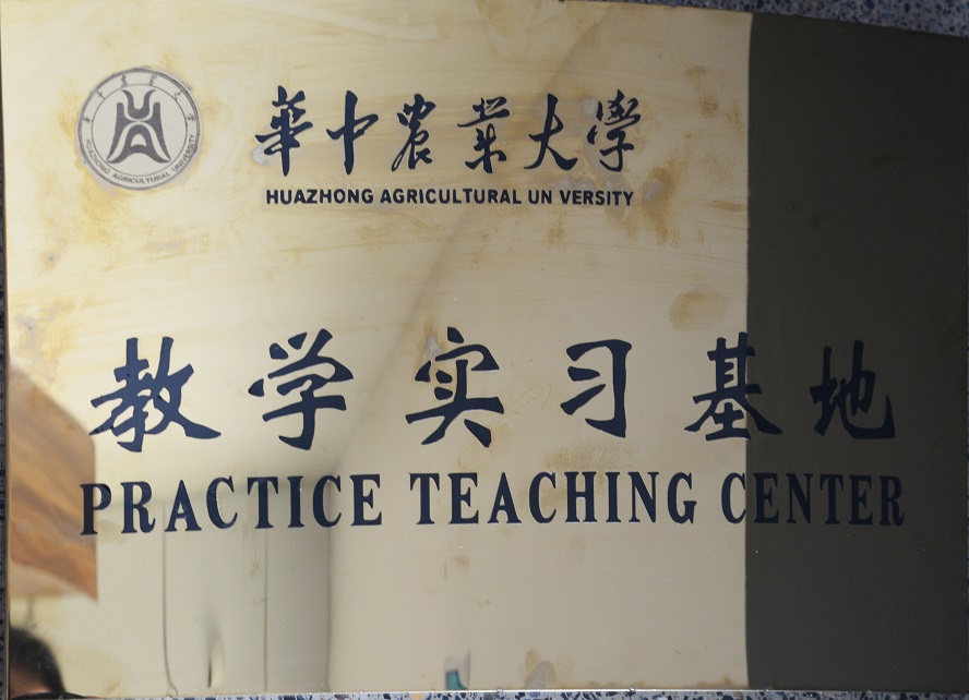 教學(xué)實習(xí)基地