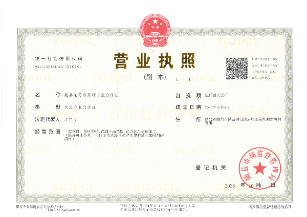 隨縣沁芳源茶業(yè)專業(yè)合作社.jpg