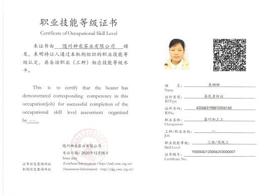 高級(jí)茶葉加工工(焦娜娜).jpg