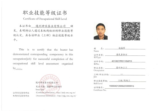高級(jí)茶葉加工工(趙海軍).jpg